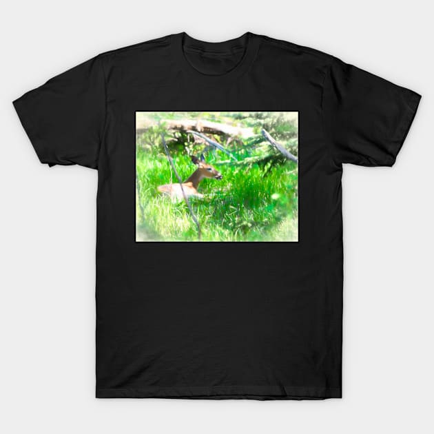 Dreaming Deer illustration T-Shirt by CanadianWild418